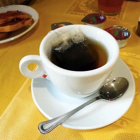 Отель Extrahotel Paradise